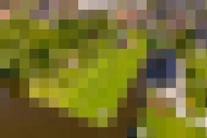 Noordeinde 15 Oostzaan thumbnail 50