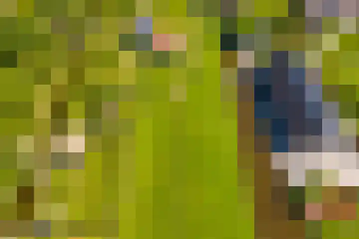 Noordeinde 15 Oostzaan thumbnail 52