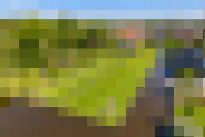 Noordeinde 15 Oostzaan thumbnail 53