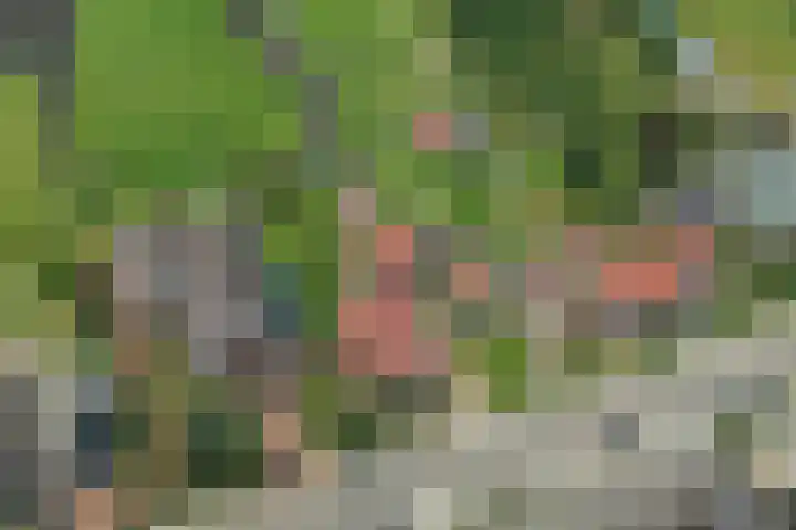 Noordeinde 15 Oostzaan thumbnail 58