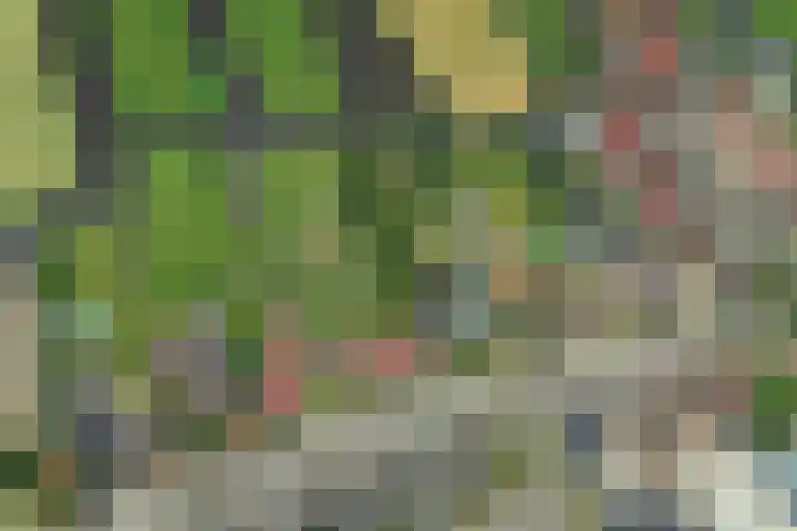 Noordeinde 15 Oostzaan thumbnail 60