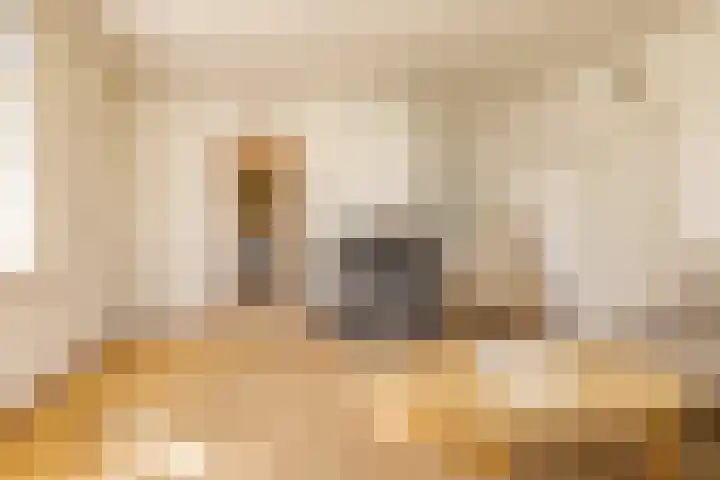 Noordeinde 15 Oostzaan thumbnail 9