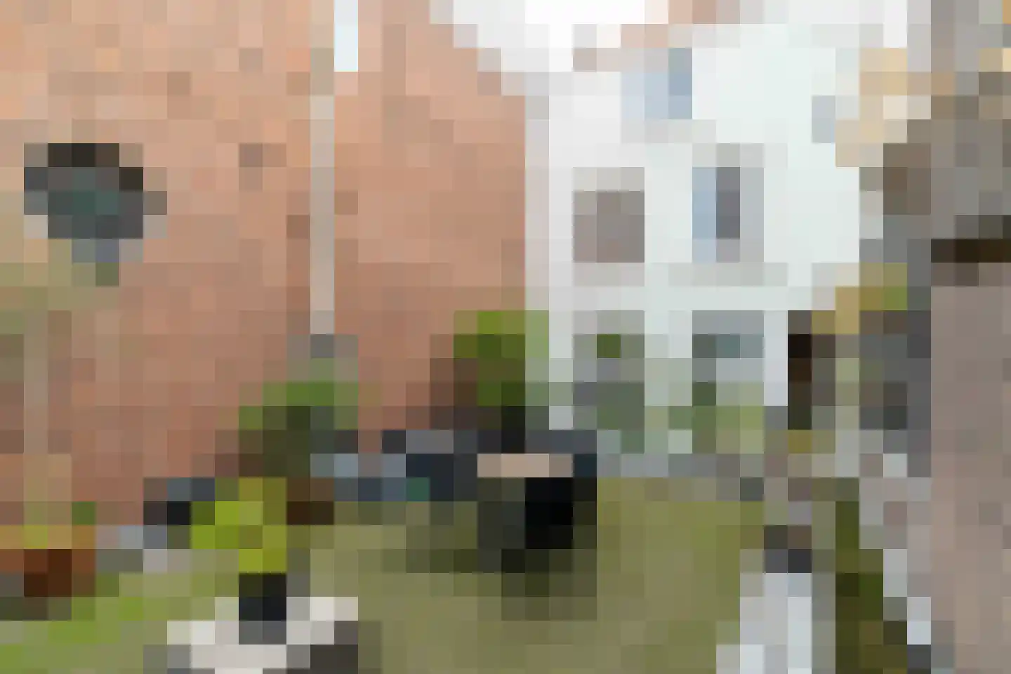 Noordeinde 150 A Den Haag thumbnail 4