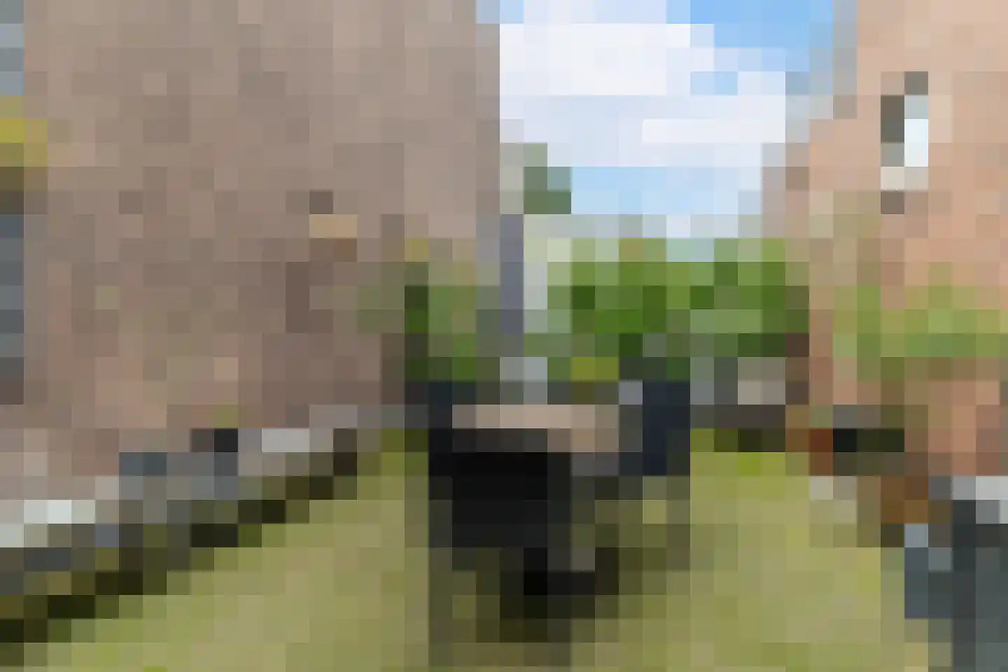 Noordeinde 150 A Den Haag thumbnail 44
