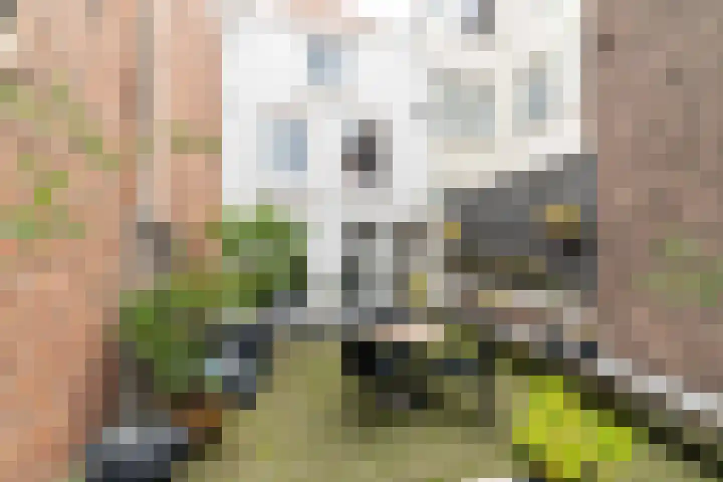 Noordeinde 150 A Den Haag thumbnail 45