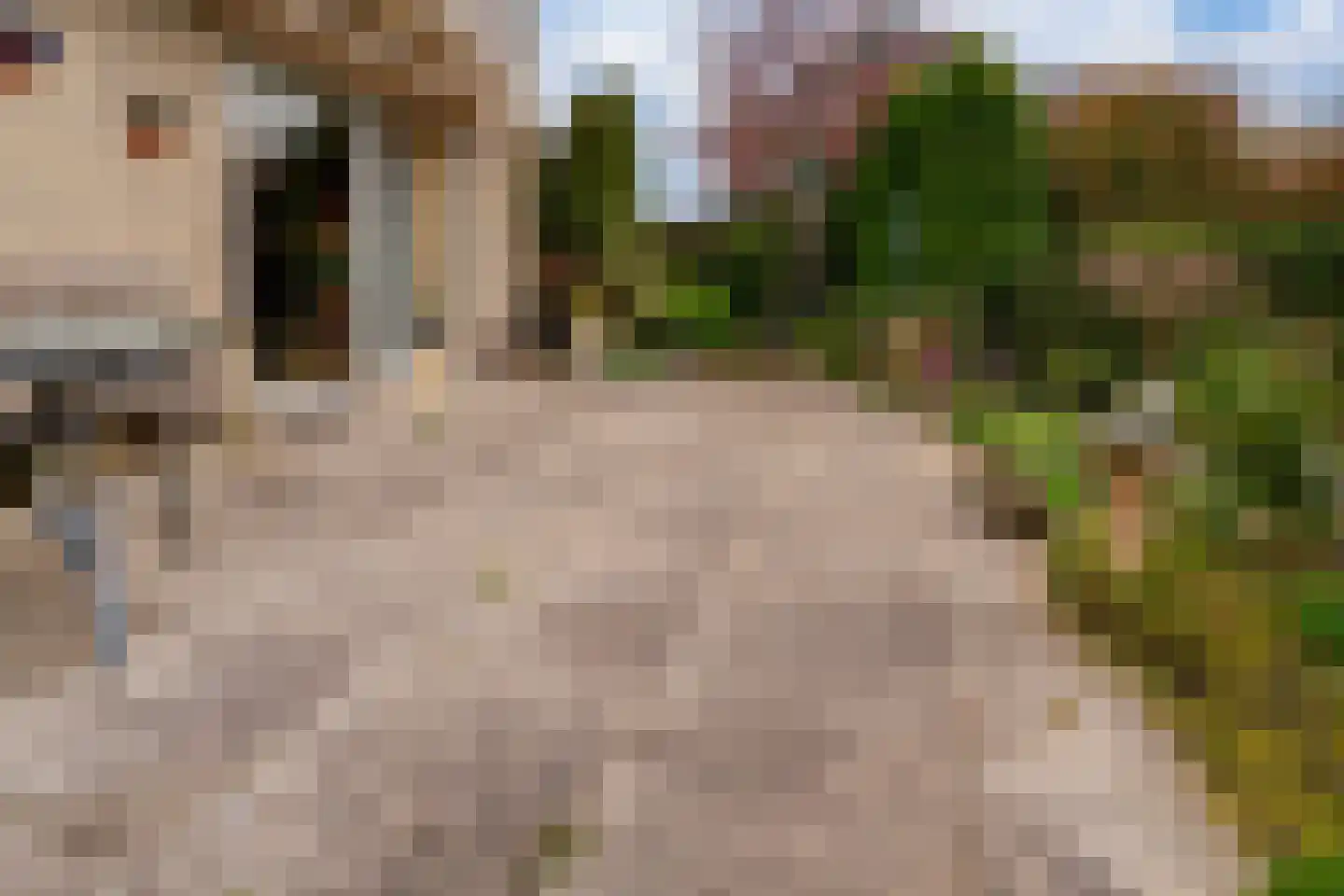 Noordeinde 16 14 Zevenaar thumbnail 27