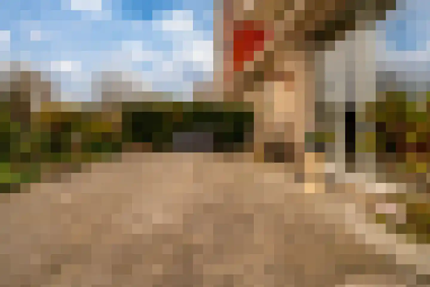 Noordeinde 16 45 Zevenaar thumbnail 4