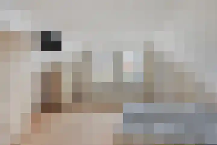 Noordeinde 16 a Roelofarendsveen thumbnail 12