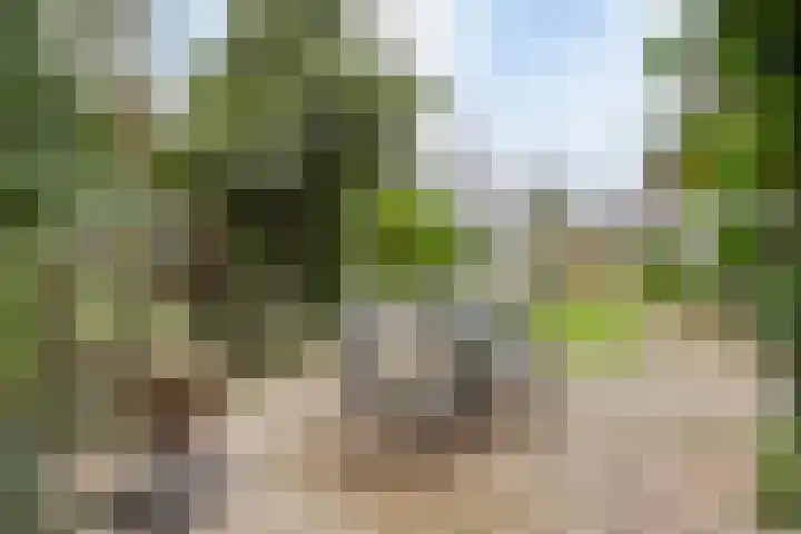 Noordeinde 16 a Roelofarendsveen thumbnail 16