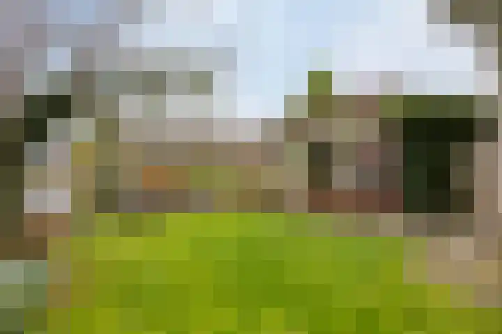 Noordeinde 16 a Roelofarendsveen thumbnail 17