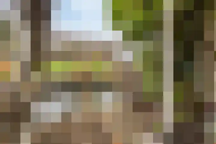 Noordeinde 16 a Roelofarendsveen thumbnail 19