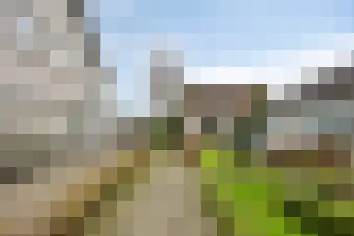 Noordeinde 16 a Roelofarendsveen thumbnail 21