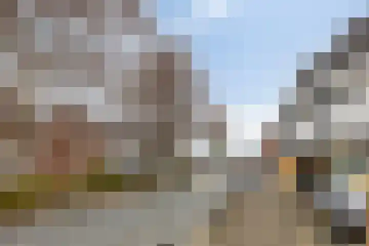 Noordeinde 16 a Roelofarendsveen thumbnail 22