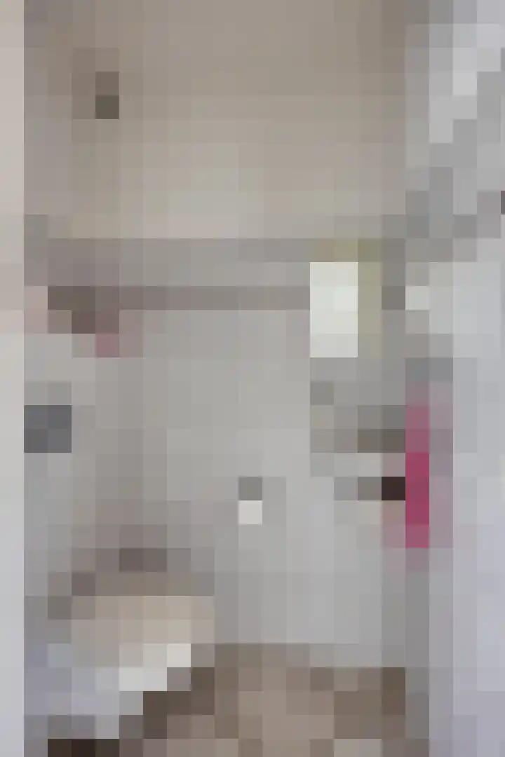 Noordeinde 16 a Roelofarendsveen thumbnail 4