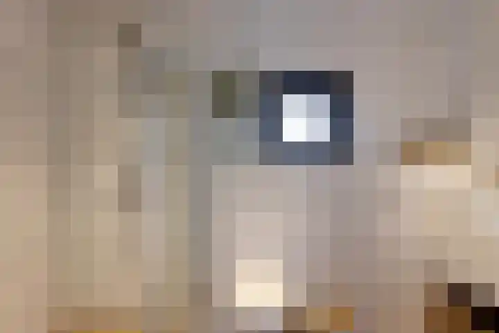 Noordeinde 161 Roelofarendsveen thumbnail 15
