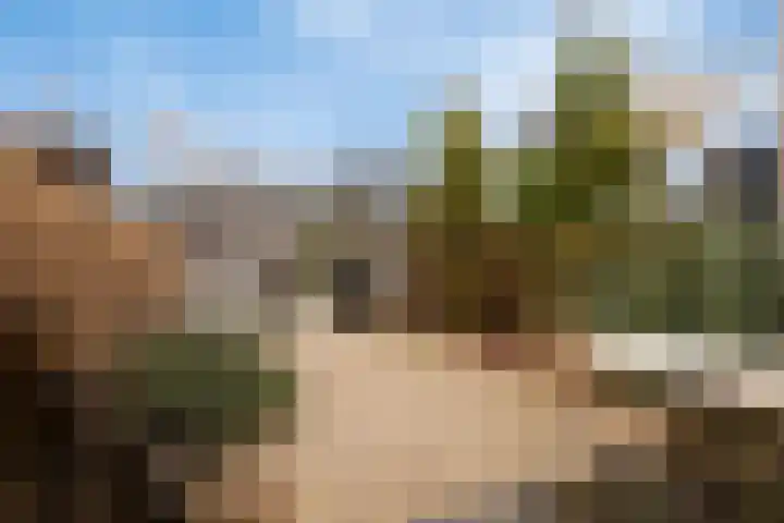 Noordeinde 161 Roelofarendsveen thumbnail 21