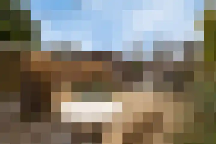 Noordeinde 161 Roelofarendsveen thumbnail 22