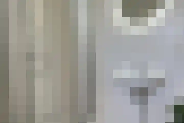 Noordeinde 162 h Roelofarendsveen thumbnail 11