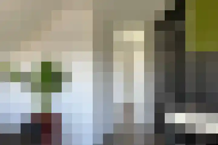 Noordeinde 162 h Roelofarendsveen thumbnail 8