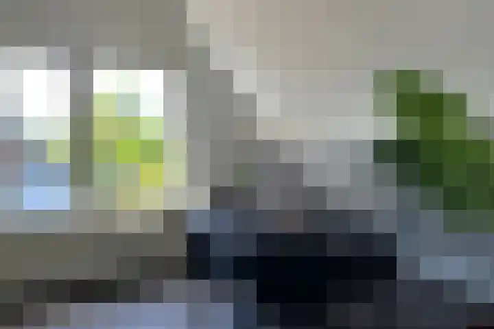 Noordeinde 162 h Roelofarendsveen thumbnail 9