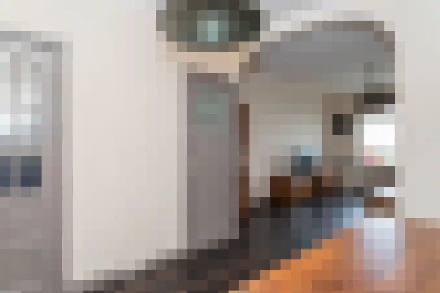 Noordeinde 163 Boskoop thumbnail 10