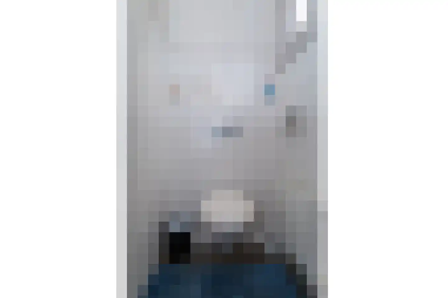 Noordeinde 163 Boskoop thumbnail 17