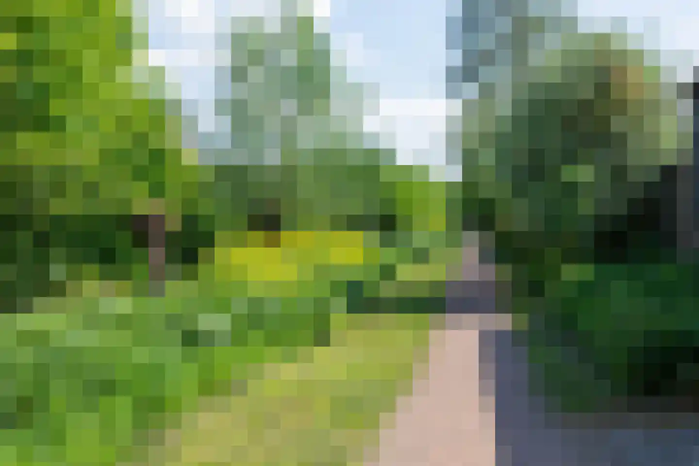 Noordeinde 163 Boskoop thumbnail 29