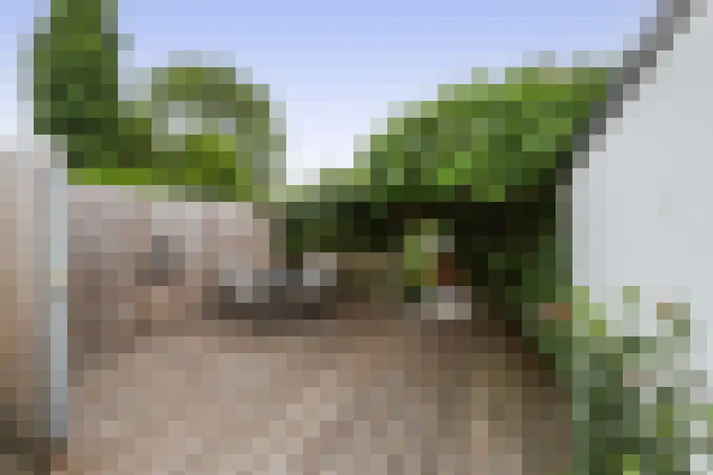 Noordeinde 167 Boskoop thumbnail 21