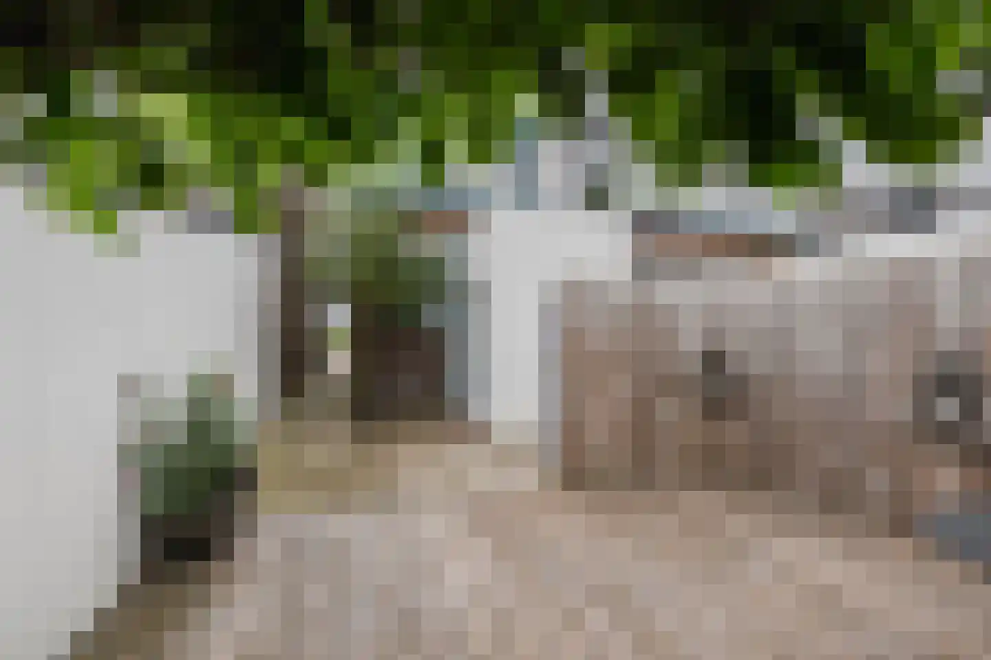 Noordeinde 167 Boskoop thumbnail 24