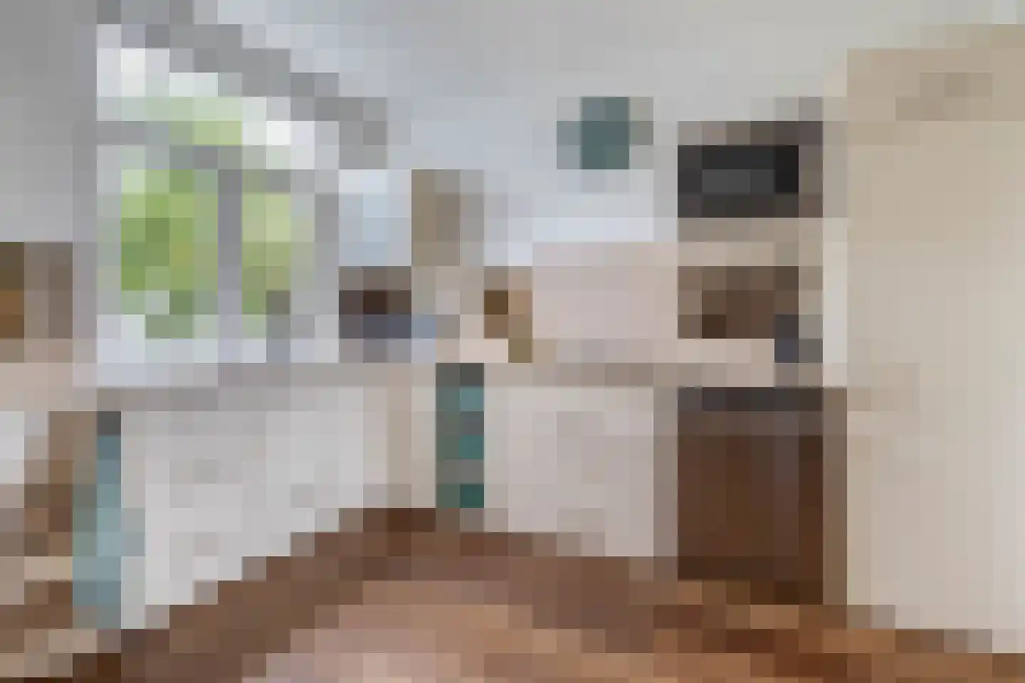 Noordeinde 167 Boskoop thumbnail 8