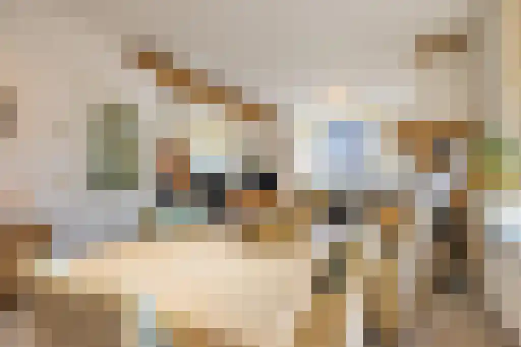 Noordeinde 170 Boskoop thumbnail 11