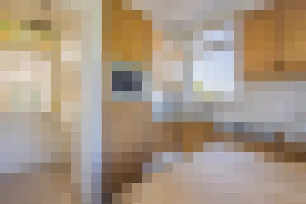 Noordeinde 170 Boskoop thumbnail 18