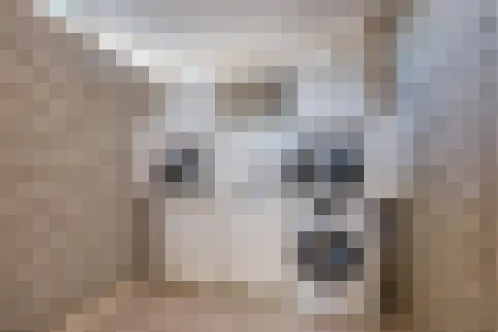 Noordeinde 170 Boskoop thumbnail 20