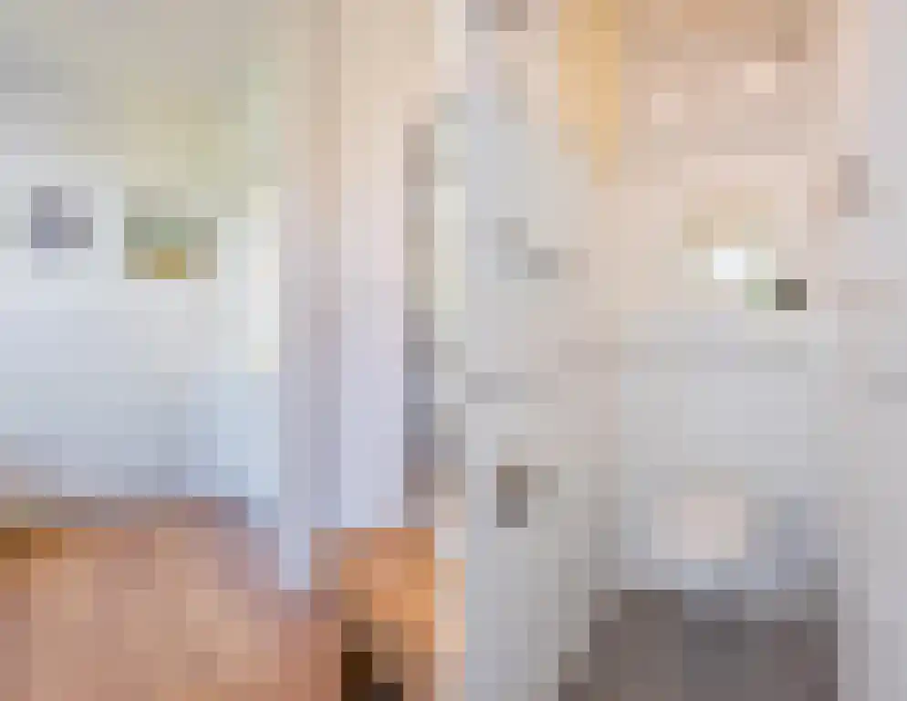 Noordeinde 170 Boskoop thumbnail 23