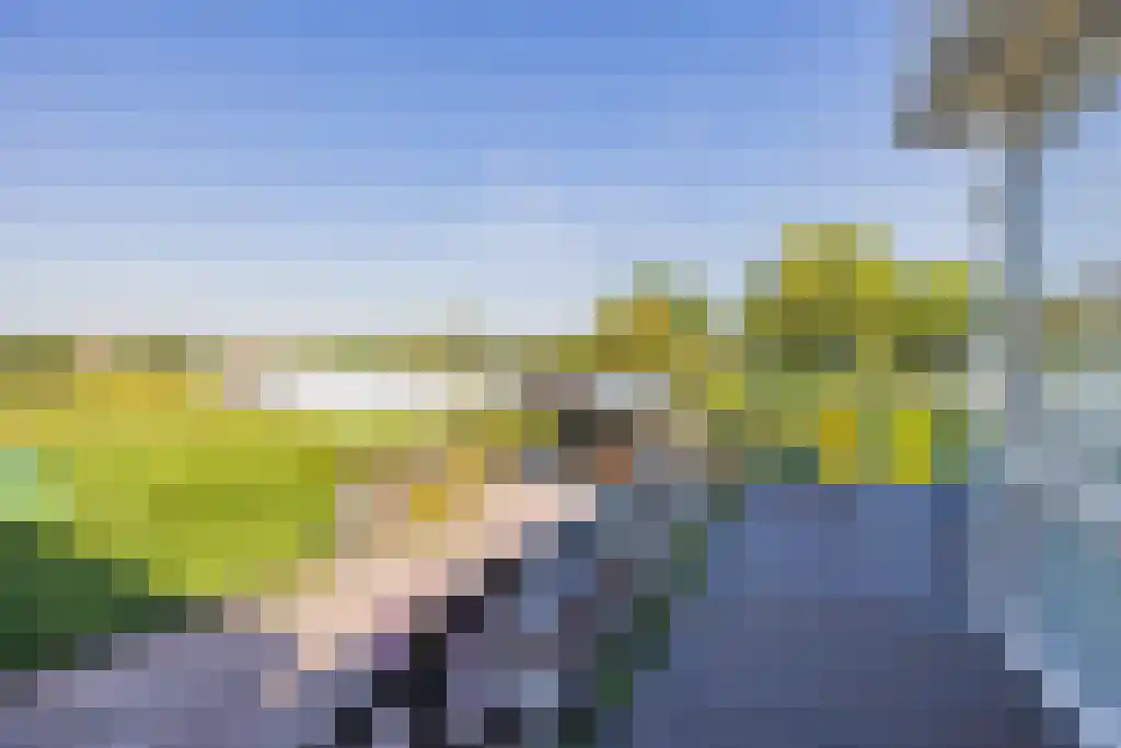 Noordeinde 170 Boskoop thumbnail 33