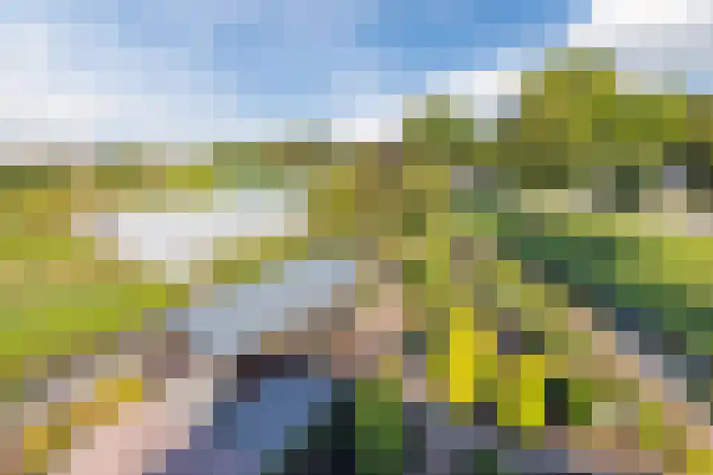 Noordeinde 170 Boskoop thumbnail 36