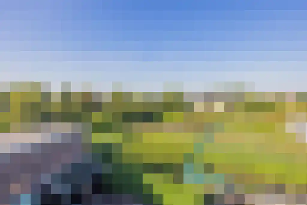 Noordeinde 170 Boskoop thumbnail 37