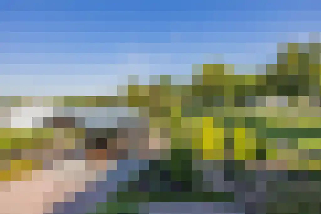 Noordeinde 170 Boskoop thumbnail 38
