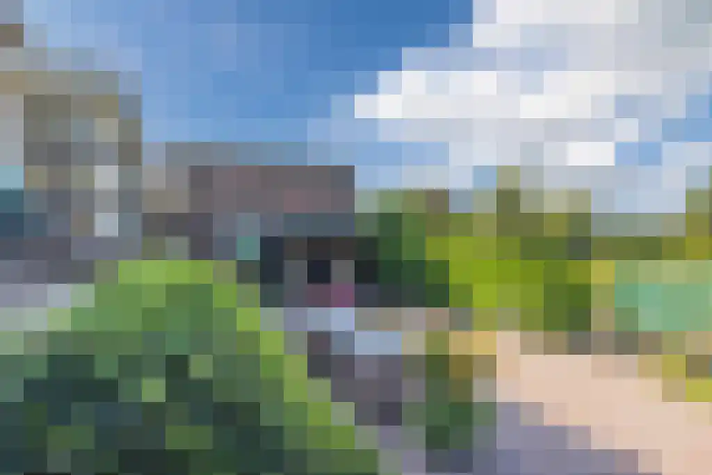 Noordeinde 170 Boskoop thumbnail 43