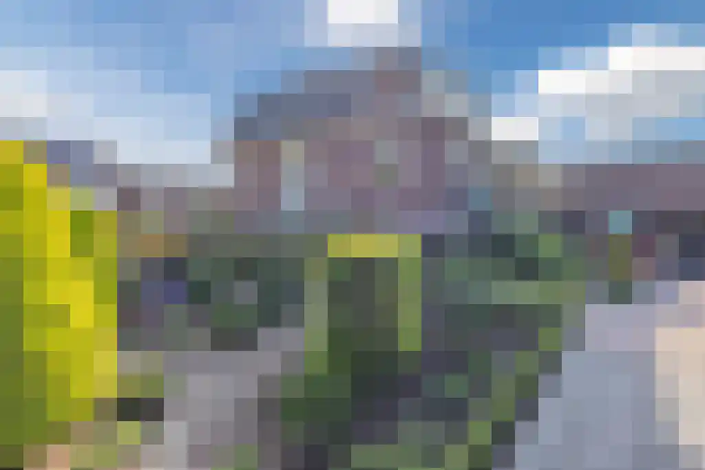 Noordeinde 170 Boskoop thumbnail 44