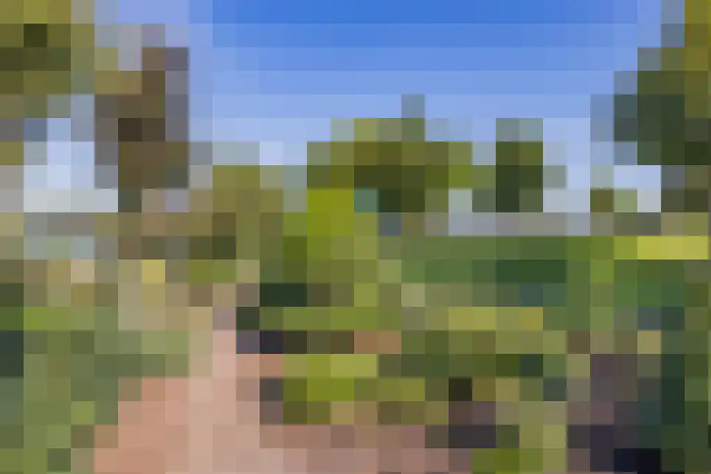 Noordeinde 170 Boskoop thumbnail 45