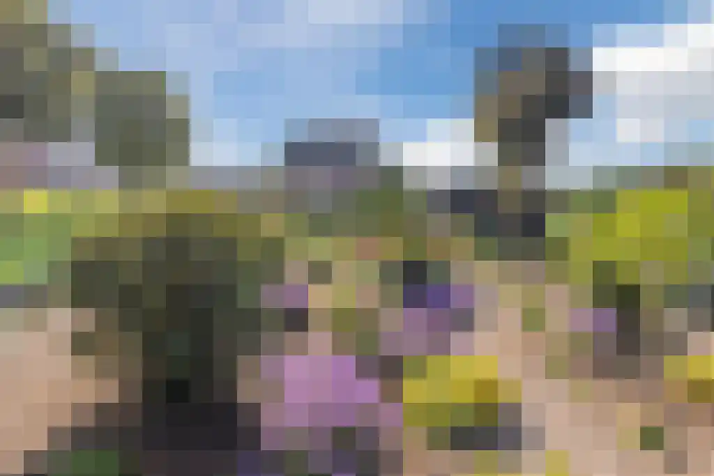 Noordeinde 170 Boskoop thumbnail 46