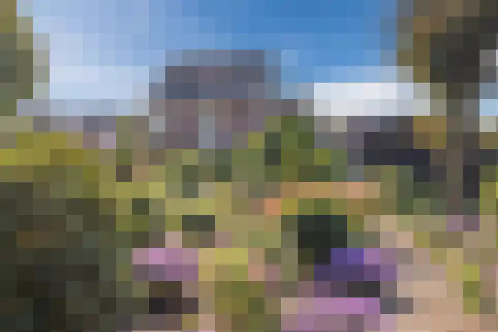 Noordeinde 170 Boskoop thumbnail 47