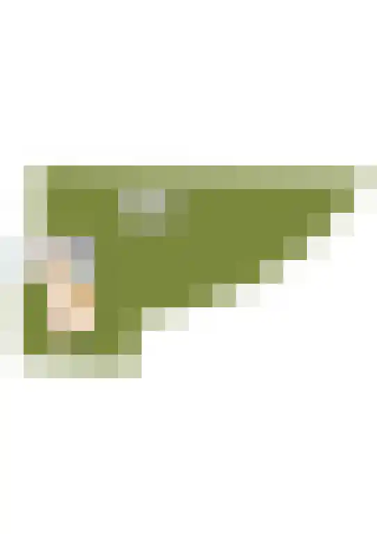 Noordeinde 170 Boskoop thumbnail 56