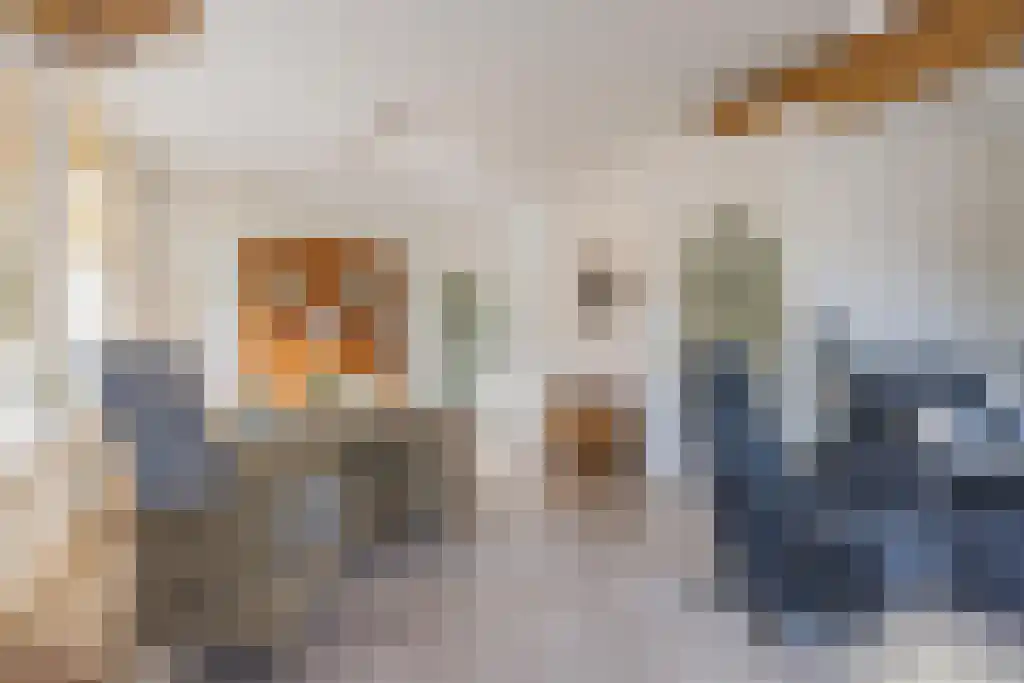 Noordeinde 170 Boskoop thumbnail 7