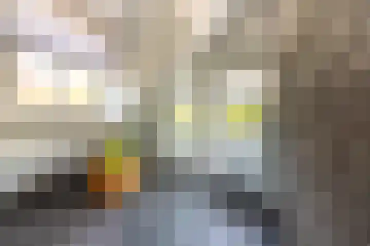 Noordeinde 18 B Aarlanderveen thumbnail 28