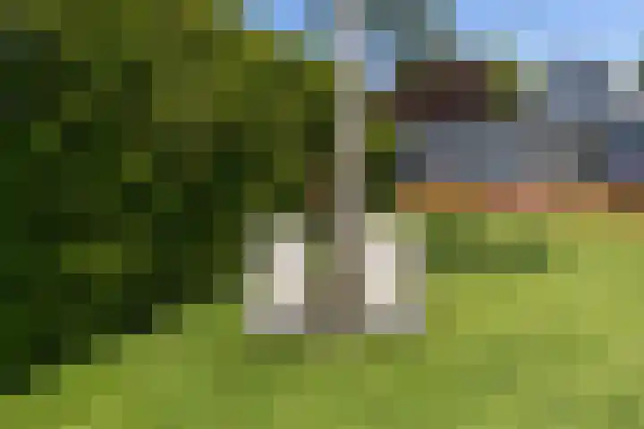 Noordeinde 18 B Aarlanderveen thumbnail 30