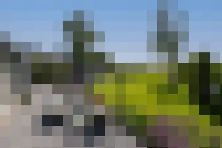 Noordeinde 18 B Aarlanderveen thumbnail 32