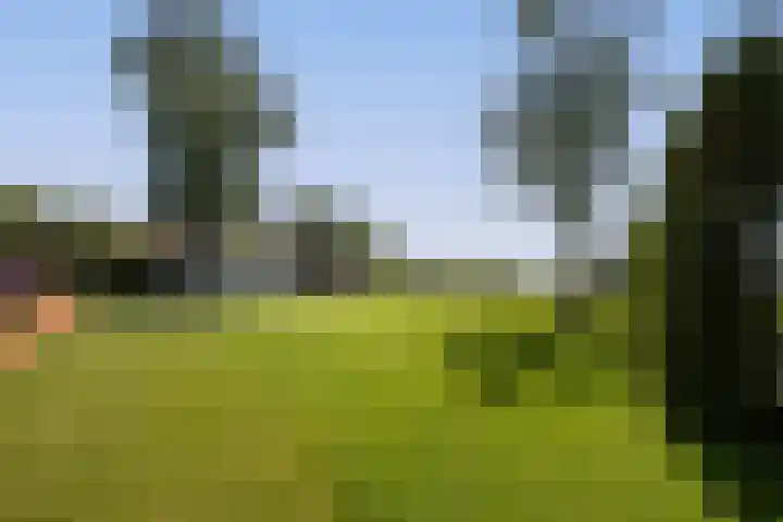 Noordeinde 18 B Aarlanderveen thumbnail 35