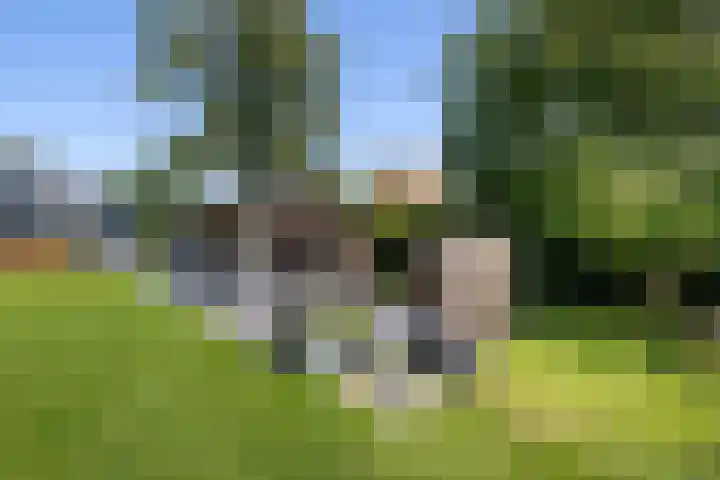 Noordeinde 18 B Aarlanderveen thumbnail 36